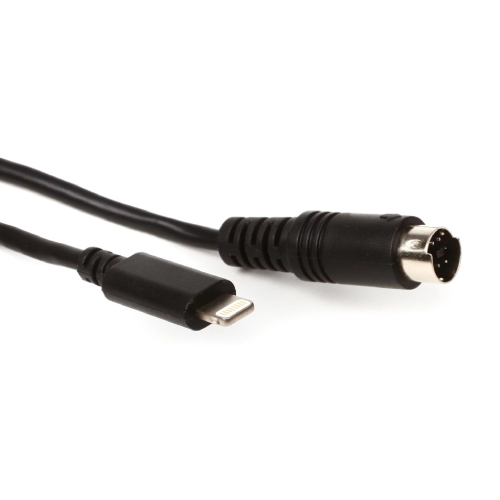 IP-CABLE-8PIN-IN